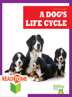 cover image of A Dog's Life Cycle
